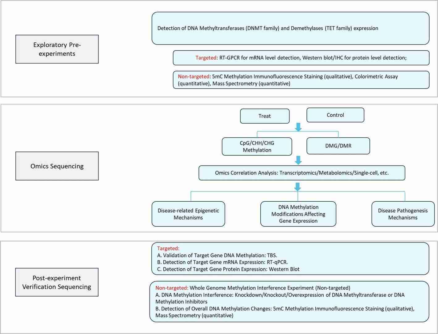 Conventional DNA methylation research techniques.