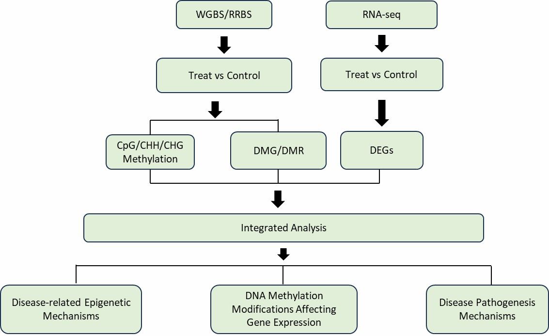 Integration of multiplatform data (DNA methylation + transcriptomics).