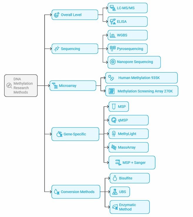 Mind map of DNA methylation research methodologies.
