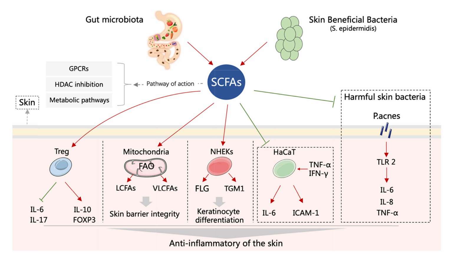 Epigenetic Modulation in Microbiome-Environment Crosstalk: From Mechanisms to Applications