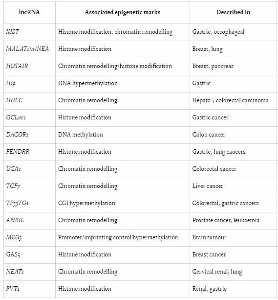 Cancer diagnosis through body fluids and molecular biomarkers, illustrating advanced screening techniques for effective management.