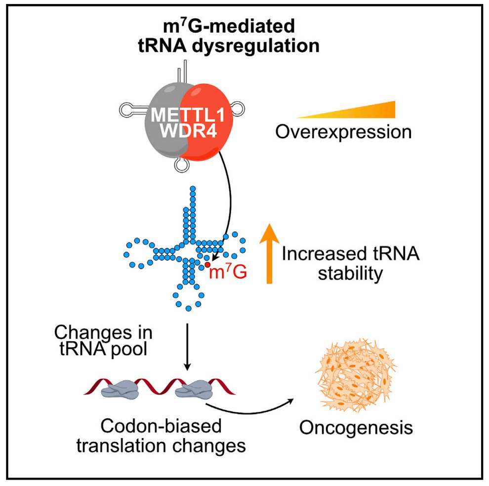 RNA Modifications Detection Technologies and Precision Medicine Applications