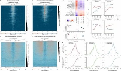 Exploring cfDNA Methylation Fundamentals and Its Clinical Relevance in Cancer