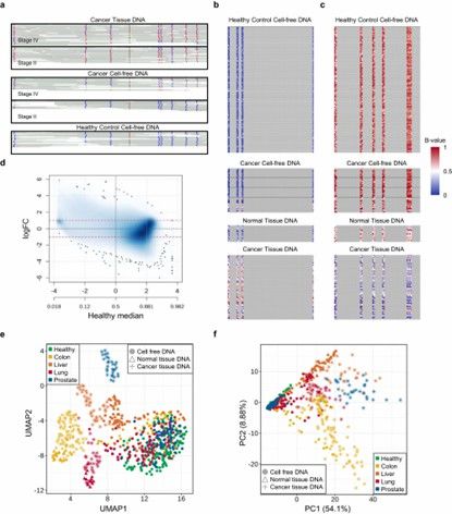 How CpG methylation and gene expression influence the coverage and size of cell-free DNA fragments. (Kim, S.Y., Jeong, S., Lee, W.et al.)