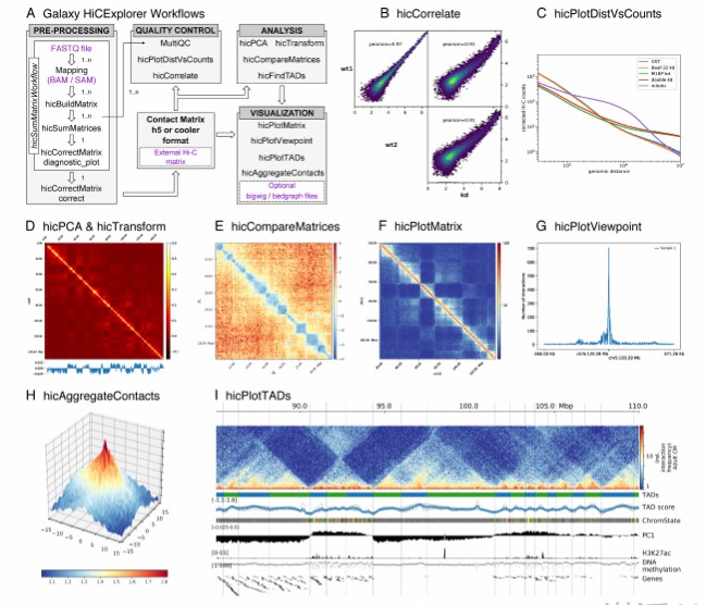 Galaxy HiCExplorer methods and tools (Wolff et al., 2018)