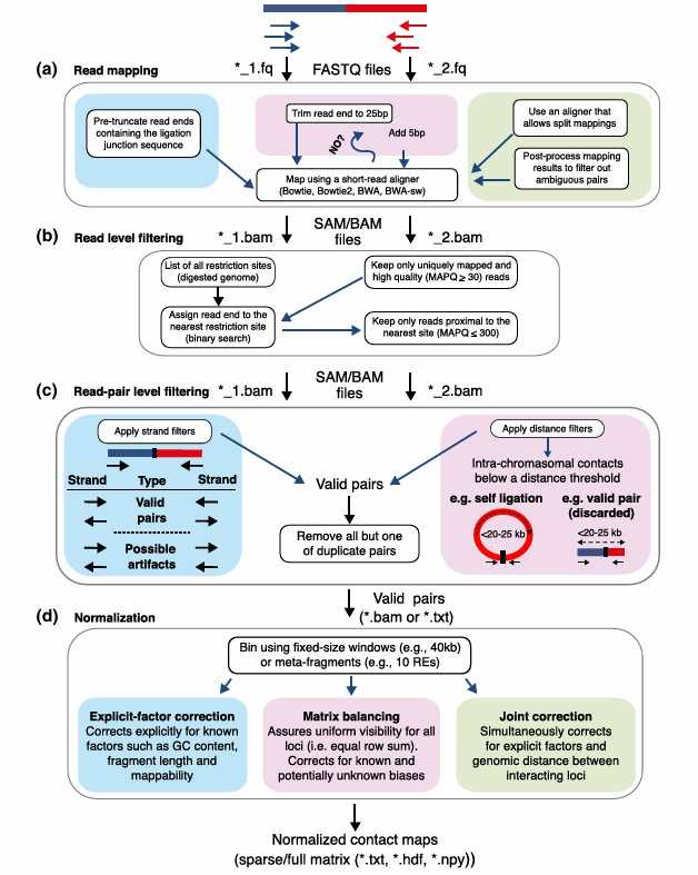 Summary of Hi-C analysis pipelines (Ferhat et al., 2015)