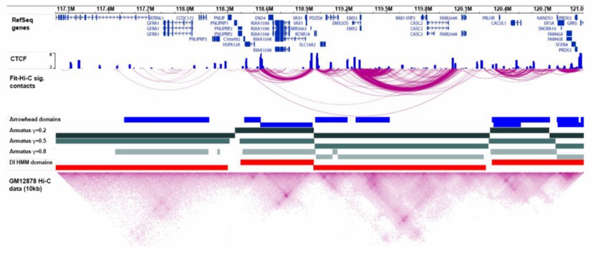 Visualization of Hi-C data analysis (Ferhat et al., 2015)
