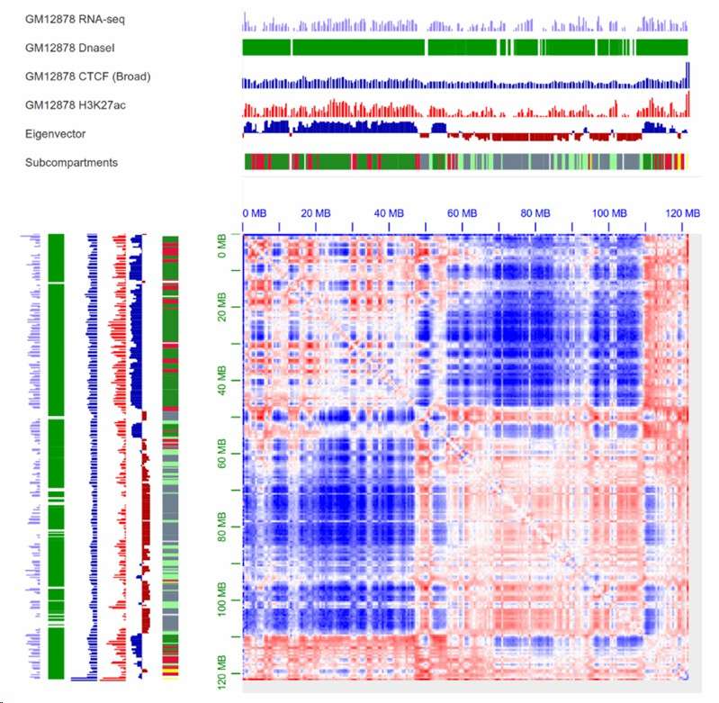 A/B compartment visualization with annotation analysis (Gong et al., 2021)