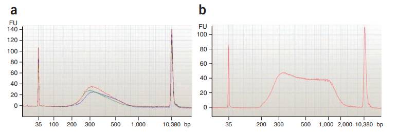 Different size distribution of T-WGBS(Wang et al., 2022)