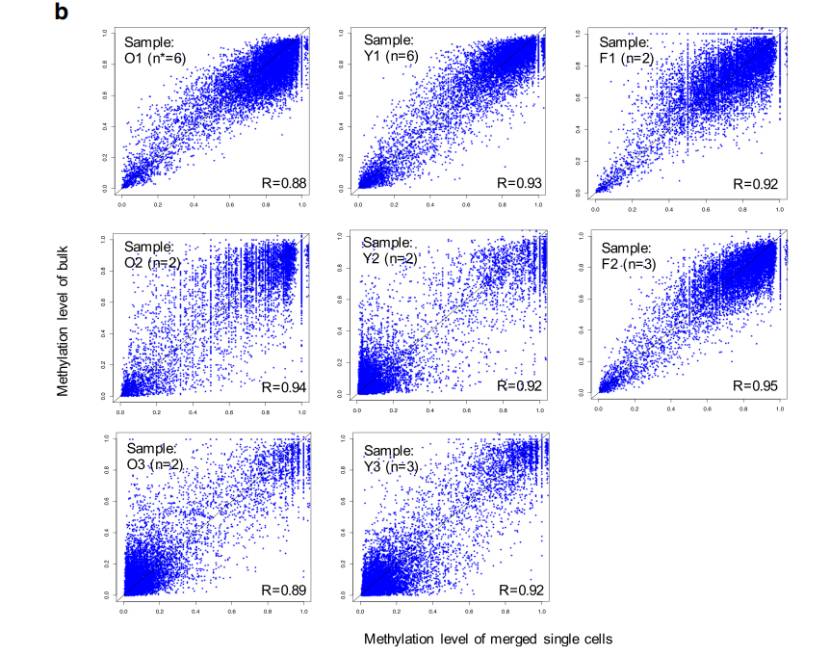 A research application example based on single-cell WGBS (Luo et al., 2020)