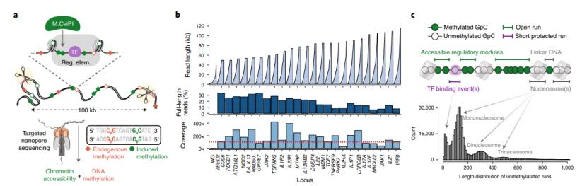 Research results based on nano-porous WGBS (Sofia et al., 2022)