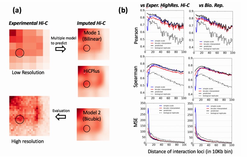 Example of contact maps (Zhang et al., 2017)
