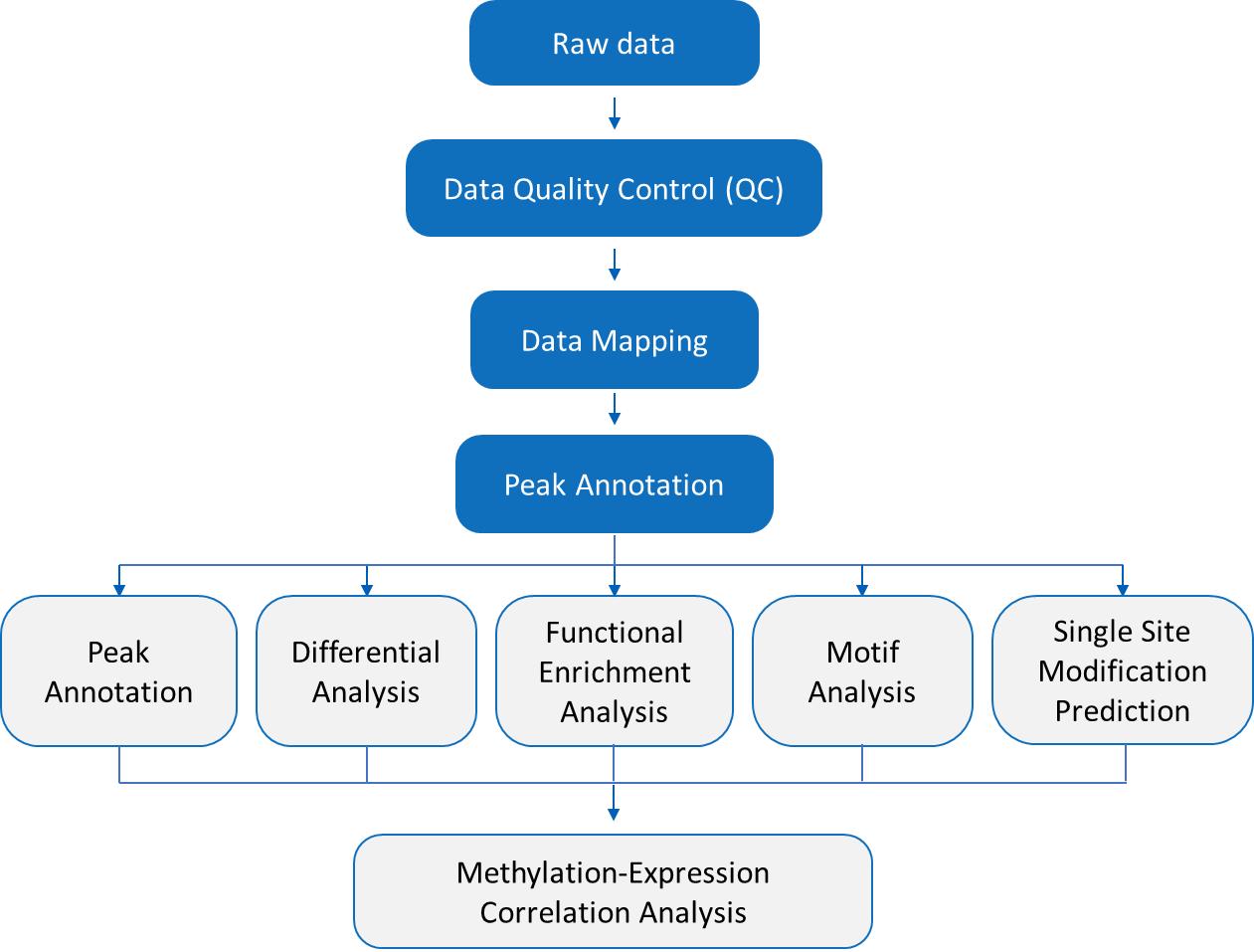 m6Am RNA Modification Analysis – Bioinformatics Analysis Workflow