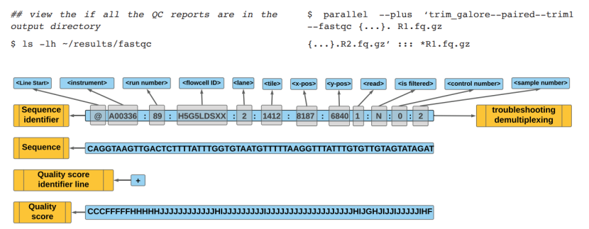 FASTQ file for analysis (Gong et al., 2022)