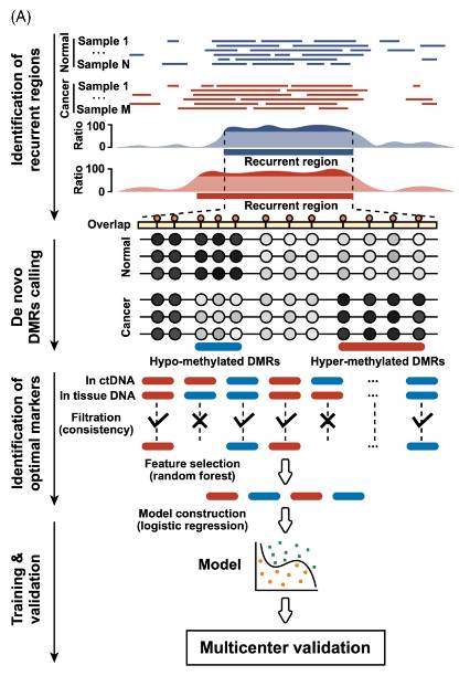 Workflow of a research application sample (Gao et al., 2022)