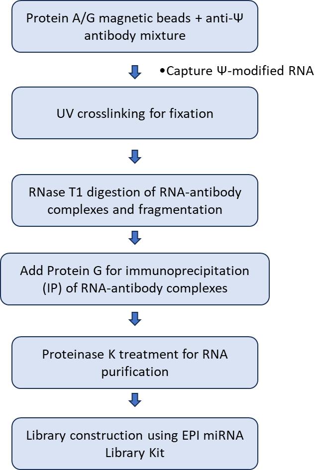 Figure 1. Workflow of the PA-psi-seq technique.