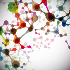 CHIP-Seq