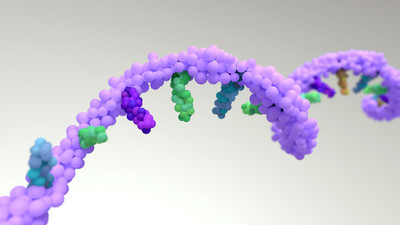 Chromatin Analysis
