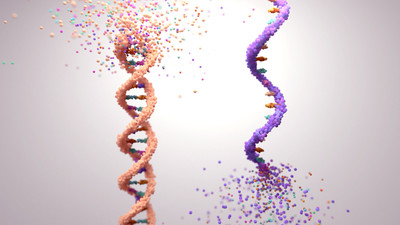 DNA Hydroxymethylation Analysis Service