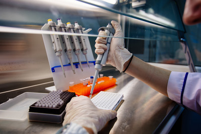 Targeted DNA methylation analysis Service