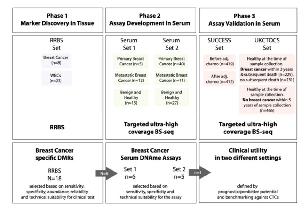 Study design of Reduced representation bisulfite sequencing (RRBS)