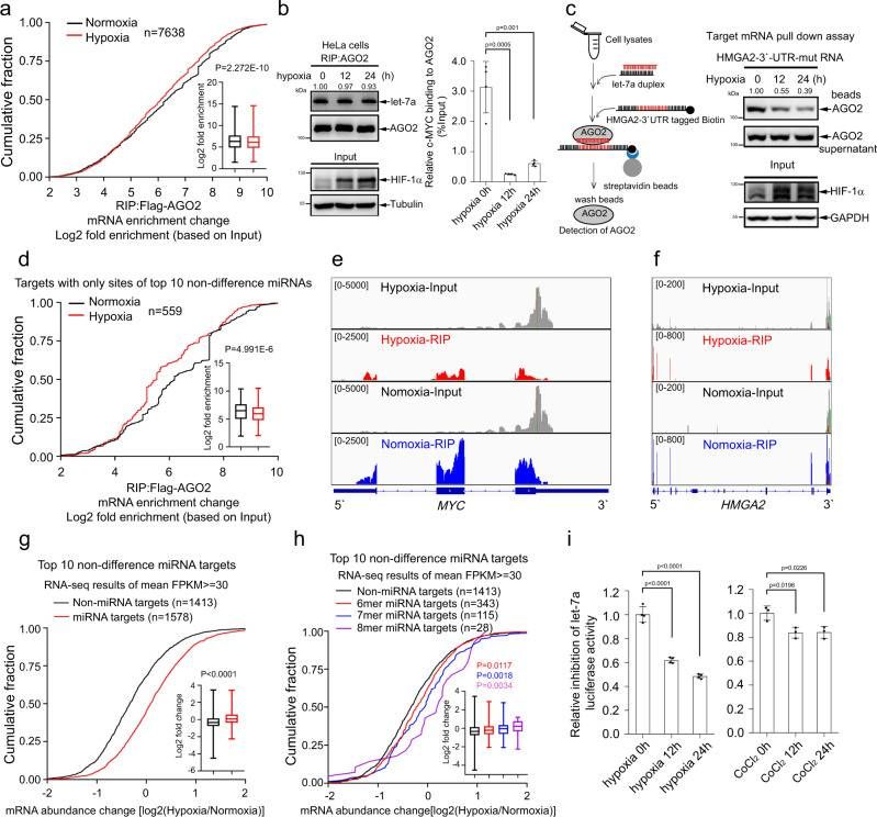 Hypoxia hinders the loading of miRNA-targeted mRNAs onto AGO2 and suppresses mRNA degradation (Zhang et al., 2021)