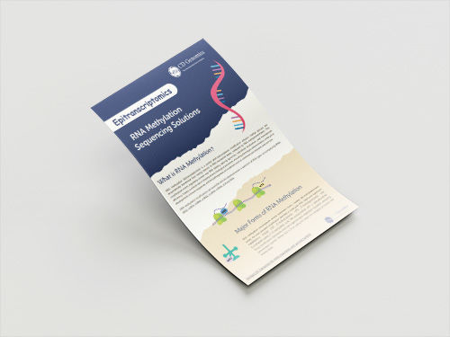 RNA Methylation Analysis: Choosing the Right Method