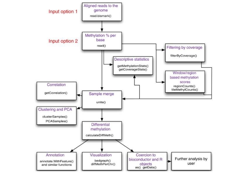 Specific workflow of methylKit (Altuna et al., 2012)
