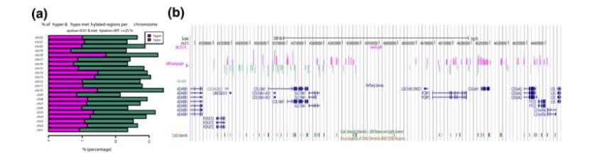 Visualization of RRBS data based on methylKit (Altuna et al., 2012)
