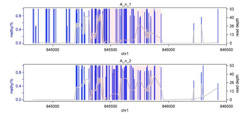 Flowchart of mHapBrowser for RRBS data analysis (Hong et al., 2024)