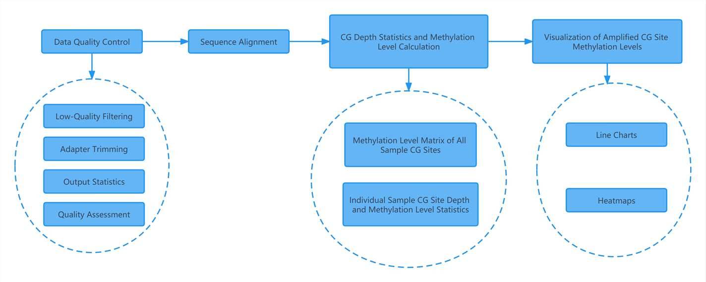 Analysis Content of Target Bisulfite Sequencing