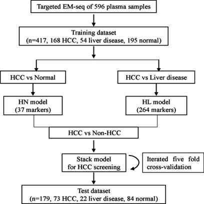 Workflow Diagram for Developing a Stacked Hepatocellular Carcinoma (HCC) Screening Model. (Guo, Ping et al,2023)