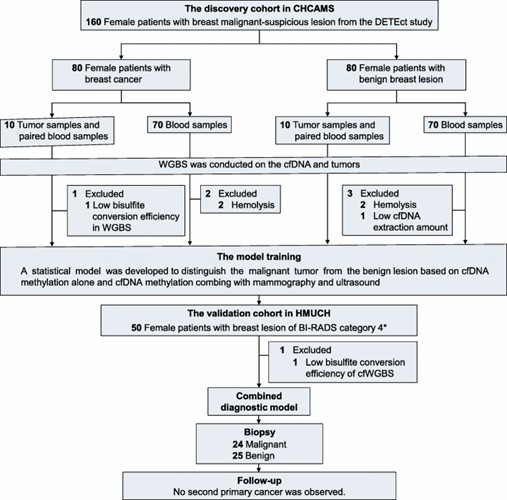 Experimental Approach. (Liu, J., Zhao, H., Huang, Y.et al.2021)