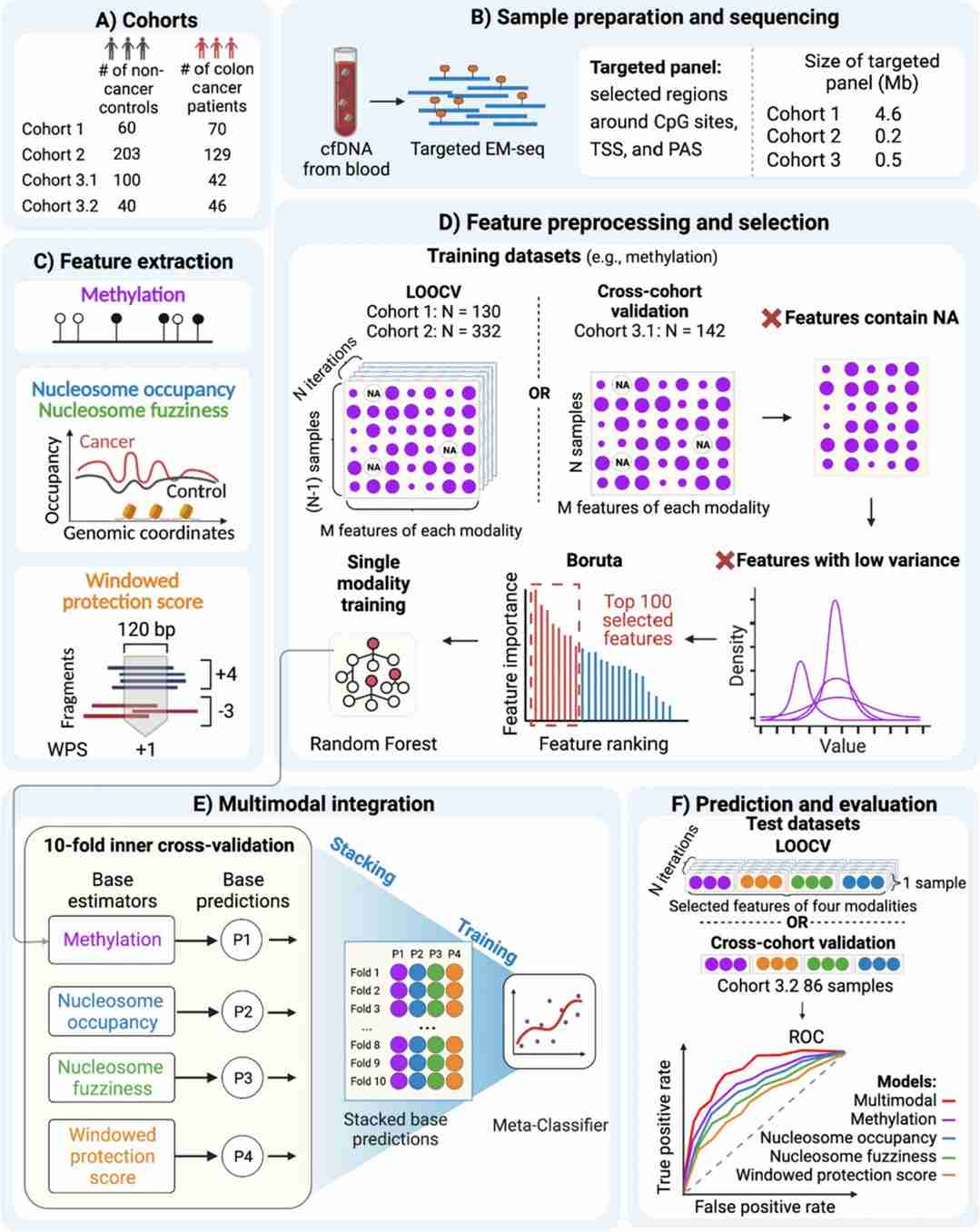 MESA design schematic diagram. (Li, Y., Xu, J., Chen, C.et al.2024)