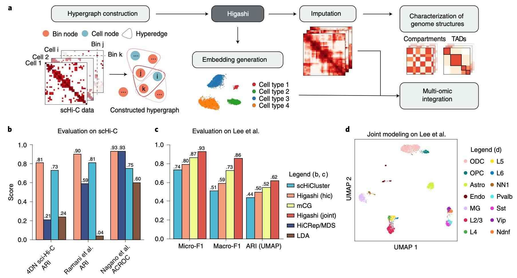 Integration of combinatorial indexing with in situ Hi-C for generating single-cell Hi-C maps from bulk Hi-C data (Ramani et al., 2017)