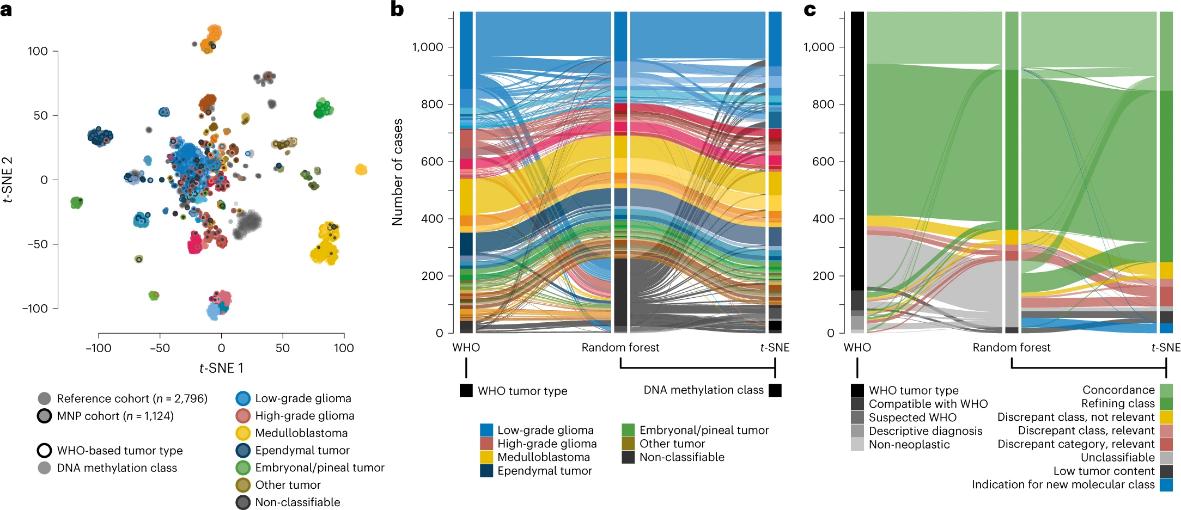 Application of DNA methylation in neuropathological diagnosis (Sturm et al., 2023)