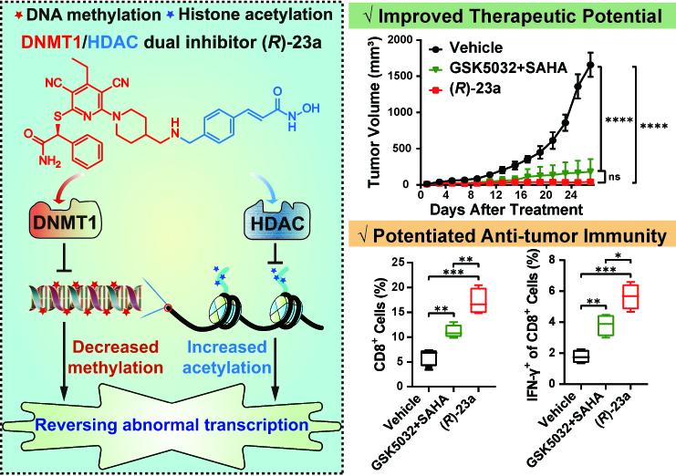 DNMT1/HDAC dual-acting inhibitor (R)-23a design strategy and activity data (Chang et al., 2024)
