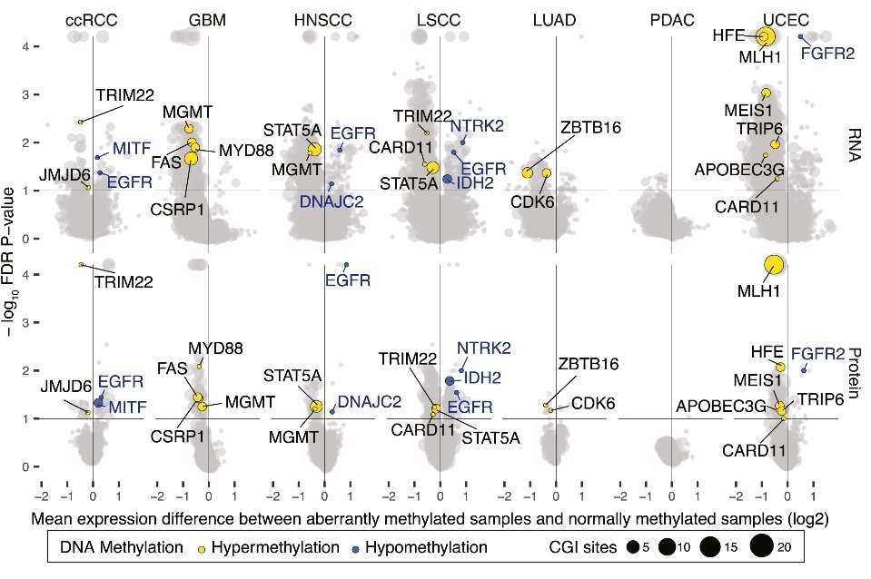 Methylation Site Identification of Cancer (Liang et al., 2023)