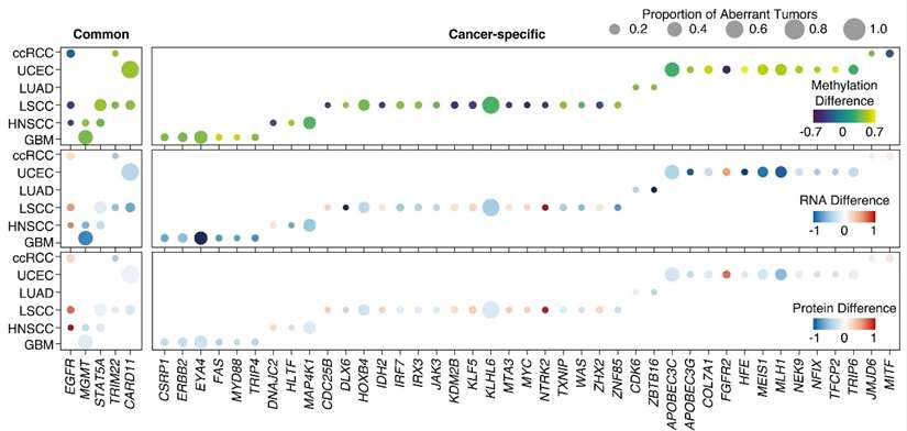 The median methylation, RNA, and protein differences for cancer-associated genes (Liang et al., 2023)