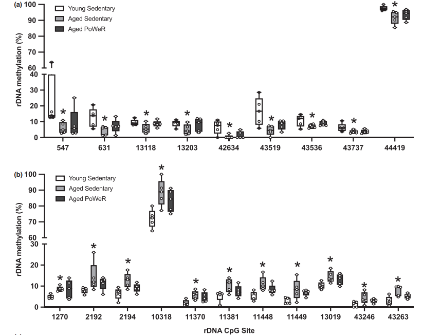 Method design and results of RRBS (Thomas et al., 2016)