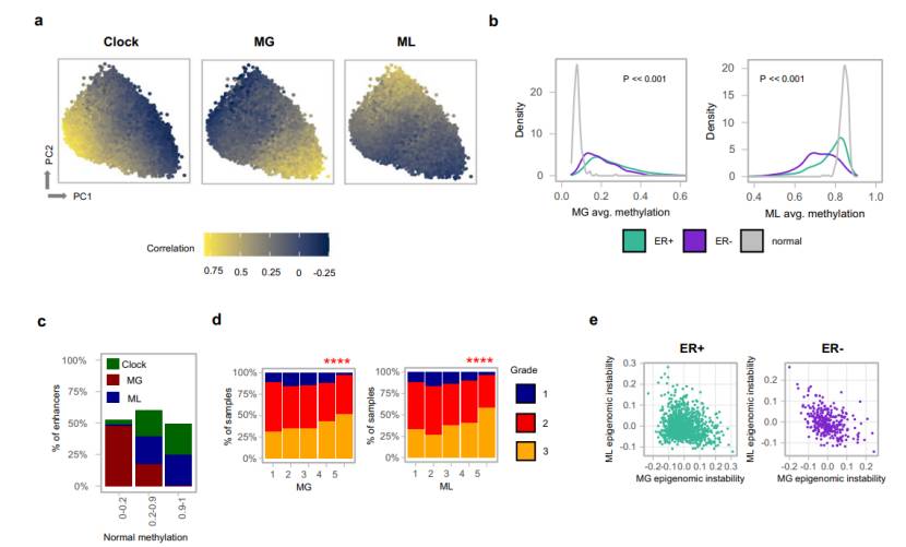Different profiles of DNA methylation in UUO kidneys (Xiao et al., 2024)