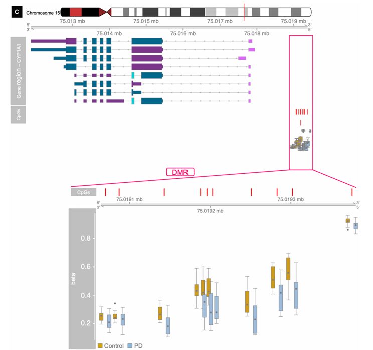 Speciﬁc hypomethylated genic and intergenic regions in different samples (Li et al., 2018)