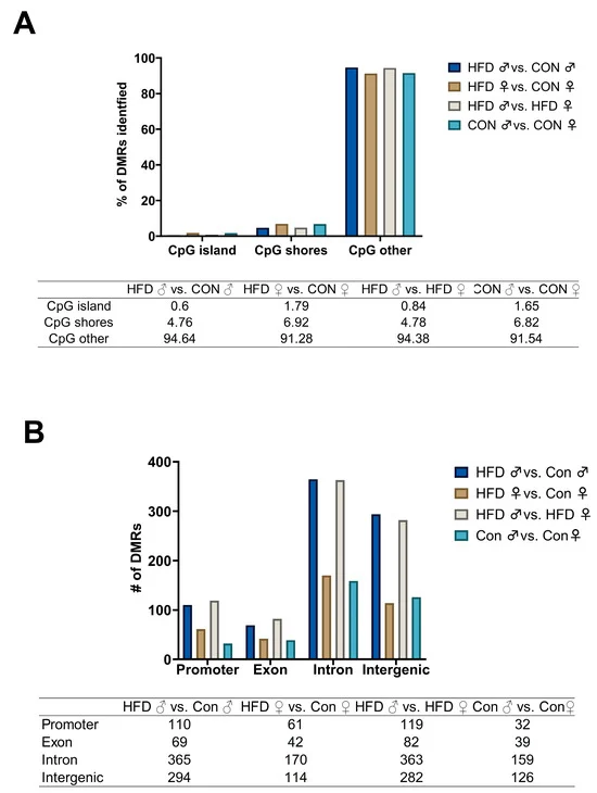 Figure 4: Correlation analysis of Differentially Methylated Regions (DMRs) and protein expression in pancreatic tissue.
