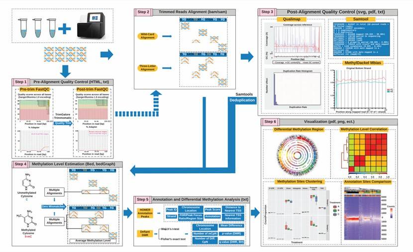 WGBS Data Analysis: Workflow and Performance Evaluation Analysis Software