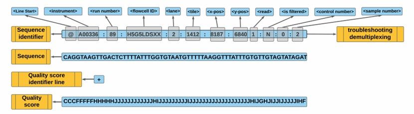 FASTQ file for analysis (Gong et al., 2022)