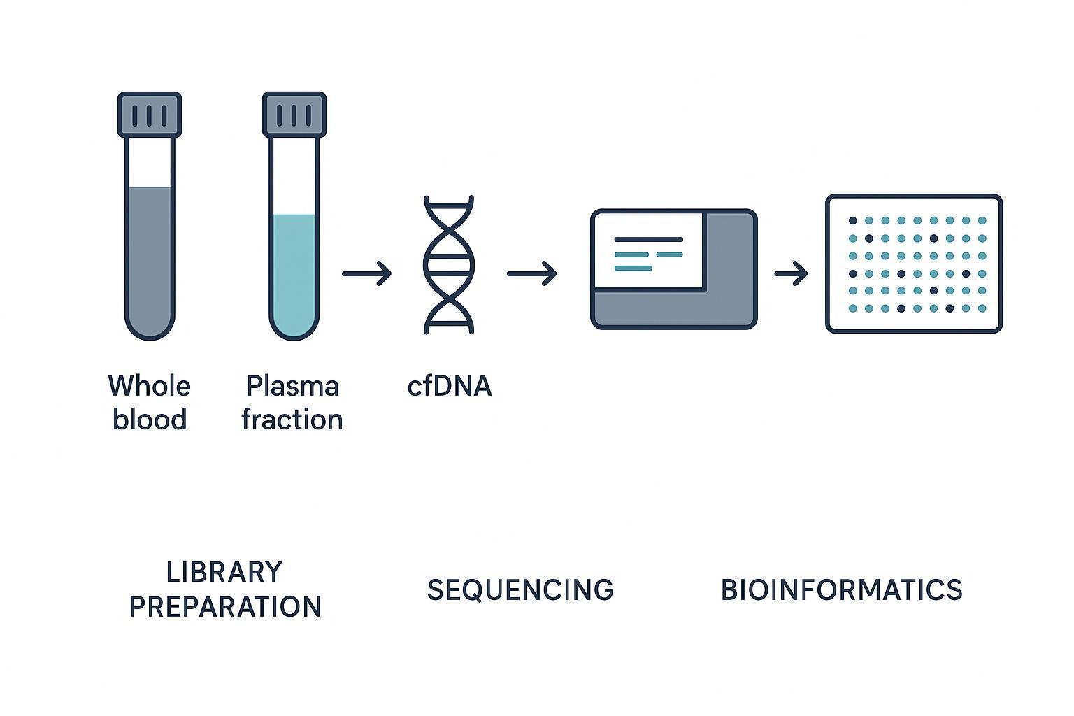 Whole Blood, Plasma, or Extracted cfDNA for Methylation Studies? A Pre-Analytical Guide