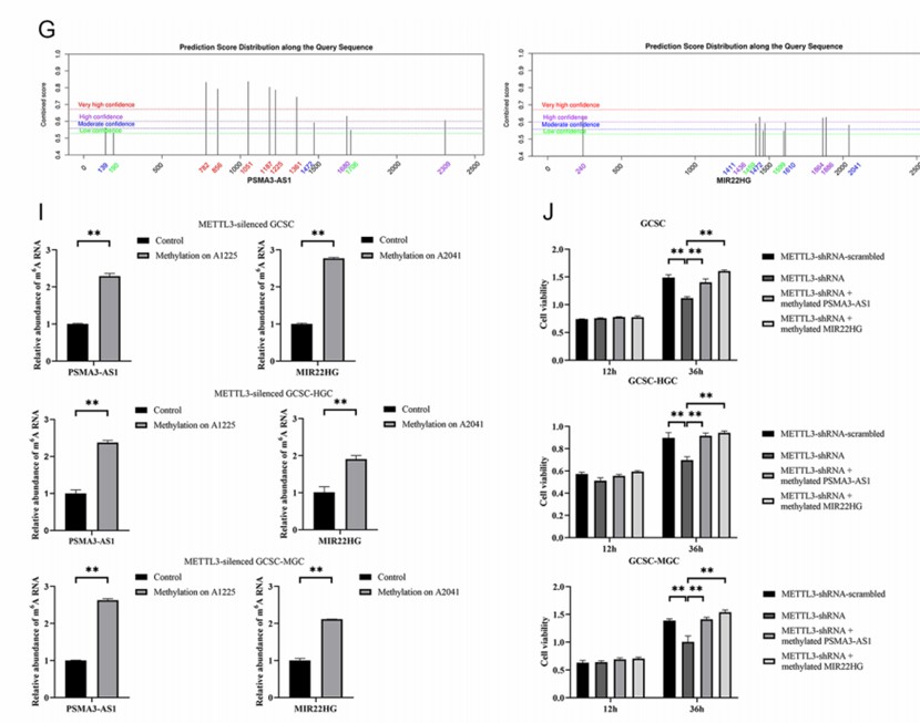 Wide Applications of MeRIP-seq in Biomedicine, Especially in Diseases Diagnosis