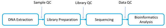 Workflow and Bioinformatics Analysis 