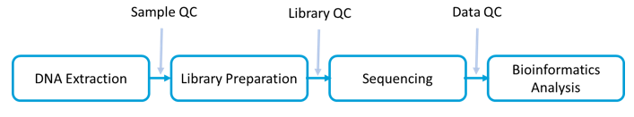 Workflow and Bioinformatics Analysis