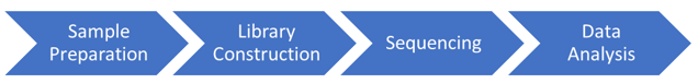 Workflow of Our Nanopore Long Read Sequencing Service